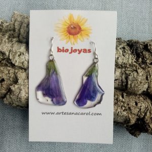 CAMPANILLA AZUL