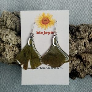GINKGO BILOBA