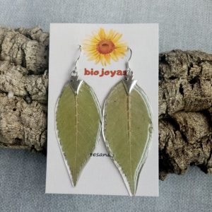 HOJA ALMEZ