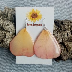 PÉTALOS ROSA